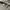 Polo Ralph Lauren Casual Polo shirt Pria gray photo 3