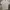 Polo Ralph Lauren Casual Polo shirt Pria gray photo 1