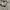Polo Ralph Lauren Casual Polo shirt Pria gray photo 2