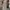 Goth Emo High waisted jeans Wanita white gray photo 3