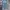 Streetwear Biker Jeans Pria multicolor photo 2