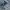 Streetwear Biker Jeans Pria multicolor photo 5