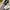 Goth Emo High waisted jeans Wanita white gray photo 3