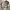 Vintage Y2K Harrington jacket Pria tan photo 3