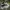 Salomon Streetwear Gorpcore Sneakers Pria white blue photo 4