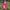 Casual T-shirt Kids white pink photo 1
