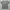 Dickies Casual T-shirt Pria gray photo 7