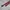 Vintage Y2K Belt Wanita red photo 2