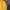 Abercrombie & Fitch Casual Jumper Pria yellow photo 2