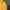 Abercrombie & Fitch Casual Jumper Pria Yellow
