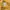 Abercrombie & Fitch Casual Jumper Pria yellow photo 3