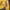 Abercrombie & Fitch Casual Jumper Pria yellow photo 5