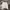 Abercrombie & Fitch Casual Jumper Pria gray photo 1