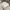 Abercrombie & Fitch Casual Jumper Pria gray photo 3