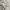 ZARA Coquette Jumper Pria white photo 4