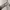 ZARA Coquette Jumper Pria white photo 3