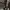 AllSaints Biker Leather jacket Pria black photo 8