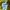 Le Coq Sportif Casual Jumper Pria yellow photo 5