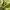 Le Coq Sportif Casual Jumper Pria yellow photo 3