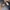 Clarks Casual Sneakers Pria navy photo 4
