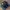 Clarks Casual Sneakers Pria navy photo 1