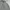 Casual Parka Pria gray photo 2