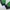 Nike Casual Windbreaker Pria green navy photo 5
