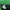 Nike Casual Windbreaker Pria green navy photo 6