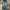Bobson Y2K Jeans Pria navy photo 1