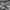 Fieldcore Casual Puffer jacket Pria gray photo 2