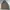 Casual Puffer jacket Pria tan photo 7