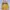 Minimalist Sweater Wanita yellow photo 2