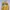 Minimalist Sweater Wanita Yellow