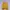 Minimalist Sweater Wanita yellow photo 1