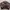 Lafudge Casual Windbreaker Pria brown photo 5