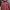 Ellesse Vintage Casual shirt Pria red photo 1
