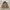 Uniqlo Streetwear Sportswear Parka Pria green khaki photo 4
