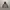Uniqlo Streetwear Sportswear Parka Pria green khaki photo 1