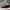 Converse Casual Sneakers Pria white black photo 1