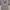 have a good time Casual Hoody Pria gray photo 1