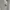 Thom Browne Luxury Shirt Wanita white photo 2