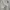 Thom Browne Luxury Shirt Wanita white photo 3
