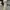 Y2K Casual Pria tan cream photo 3