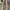 Y2K Casual Pria tan cream photo 1