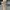 Y2K Casual Pria tan cream photo 2