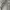 Vintage Streetwear Jeans Pria white gray photo 4