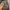 New Balance Streetwear Sportswear Tracksuit Pria black photo 4