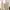 Vintage Other Wanita pink cream photo 4