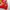 Vintage Denim jacket Wanita red photo 5