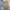Casual Trench Coat Wanita Tan